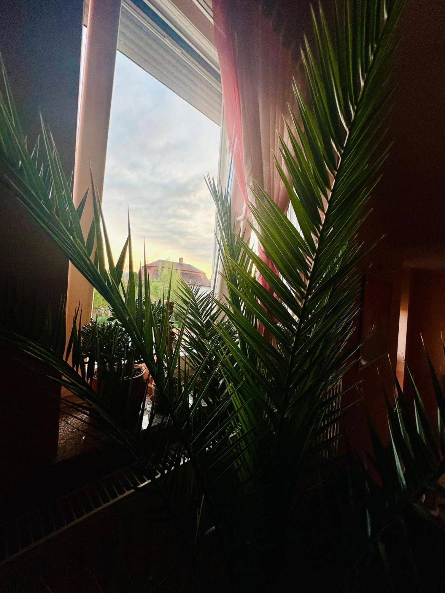 La Villa Pergola Szentgotthárd Zewnętrze zdjęcie